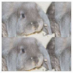 Chubby Cheeks Fabric