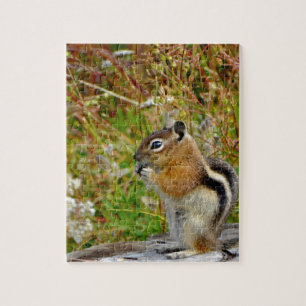 Chubby cute chipmunk on on wood stump jigsaw puzzle