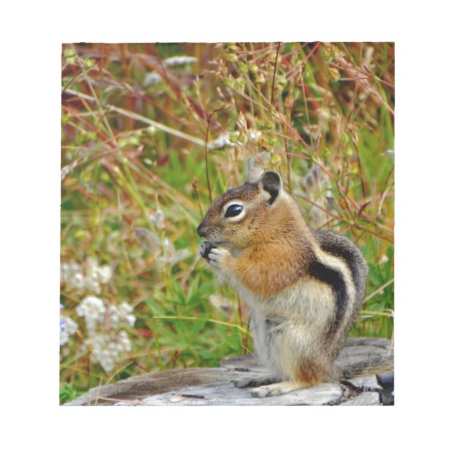 Chubby cute chipmunk on  on wood stump notepad (Front)