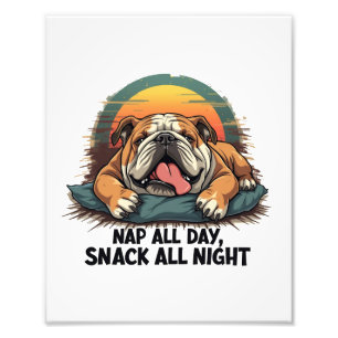 Chubby English Bulldog Nap And Snack Photo Print