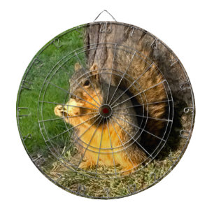 Chubby Squirrel, Dartboard