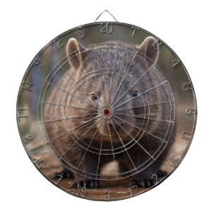 Chubby The Australian Wombat, Dartboard