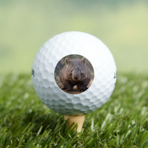 Chubby The Australian Wombat,  Golf Balls