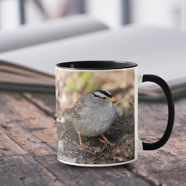 Chubby White-Crowned Sparrow in the Winter Sun Mug (Chubby White-Crowned Sparrow in the Winter Sun 11 oz Coffee Mug Cover Photo.)