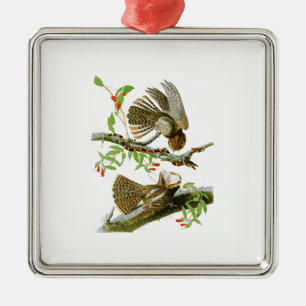 Chuck-will's Widow John Audubon Birds of America Metal Tree Decoration