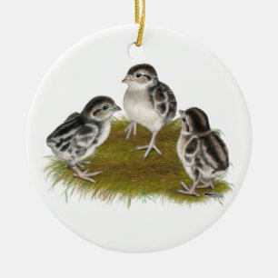 Chukar Partridge Chicks Ceramic Tree Decoration