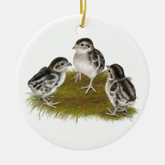 Chukar Partridge Chicks Ceramic Tree Decoration (Front)