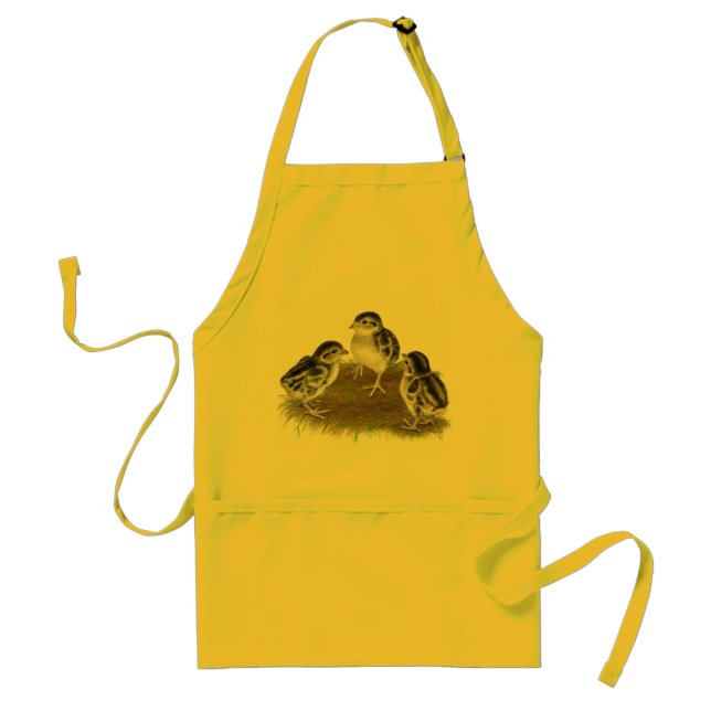 Chukar Partridge Chicks Standard Apron (Front)