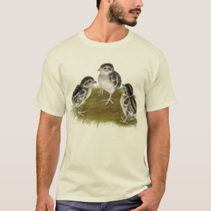 Chukar Partridge Chicks T-Shirt