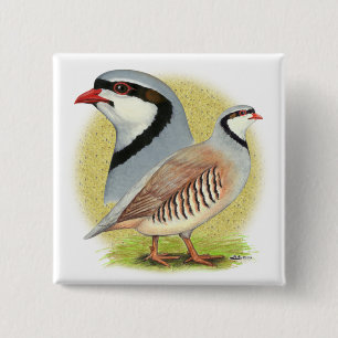 Chukar Partridge Combo 15 Cm Square Badge