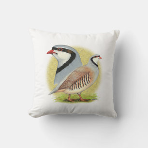 Chukar Partridge Combo Cushion