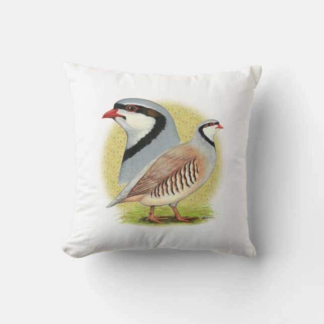 Chukar Partridge Combo Cushion (Front)