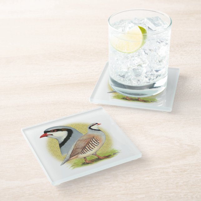 Chukar Partridge Combo Glass Coaster (Angled)