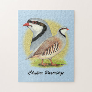 Chukar Partridge Combo Jigsaw Puzzle