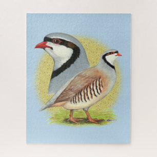 Chukar Partridge Combo Jigsaw Puzzle