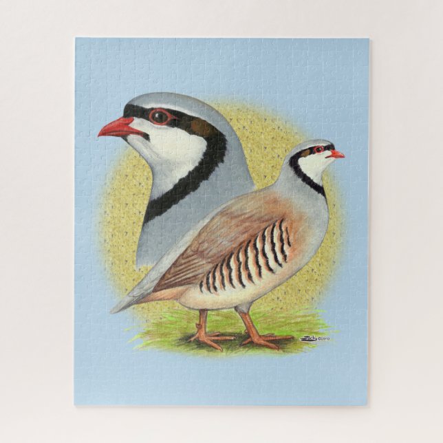 Chukar Partridge Combo Jigsaw Puzzle (Vertical)