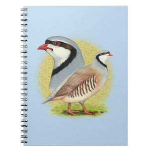Chukar Partridge Combo Notebook