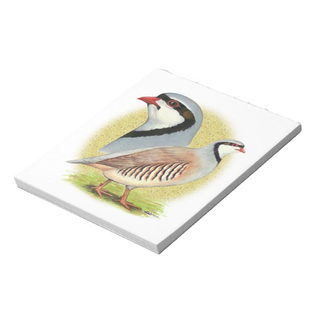 Chukar Partridge Combo Notepad (Rotated)