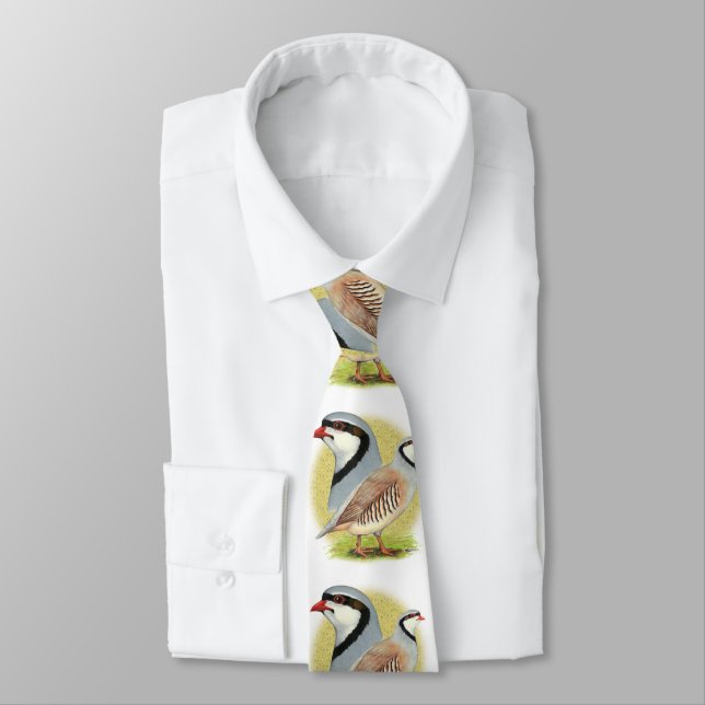 Chukar Partridge Combo Tie (Tied)