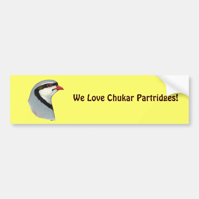 Chukar:  Partridge Head Bumper Sticker (Front)