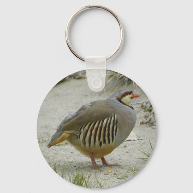 Chukar Partridge Key Ring (Front)