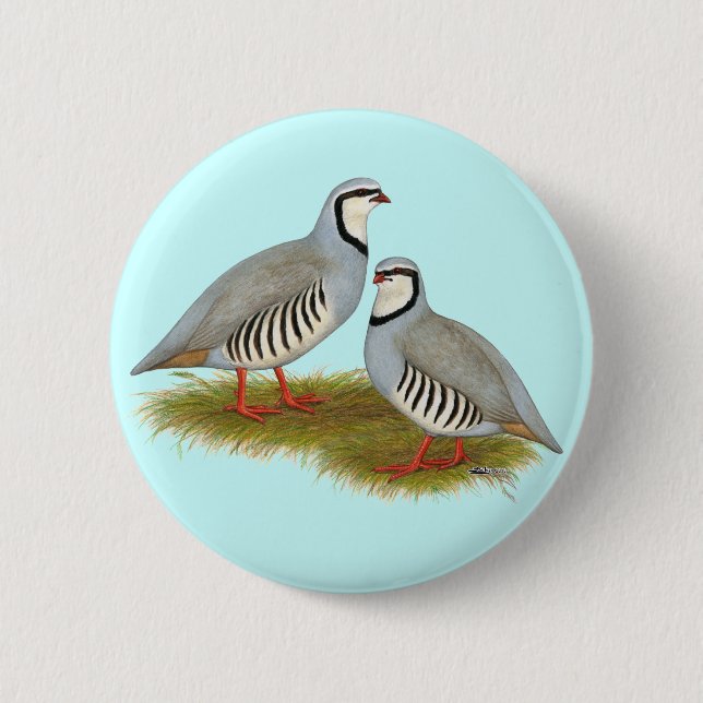 Chukar Partridge Pair 6 Cm Round Badge (Front)