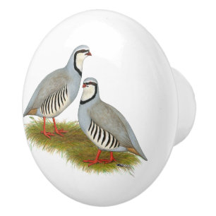 Chukar Partridge Pair Ceramic Knob