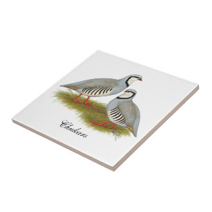 Chukar Partridge Pair Ceramic Tile