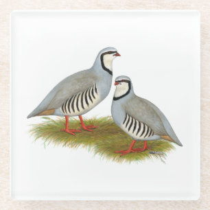 Chukar Partridge Pair Glass Coaster