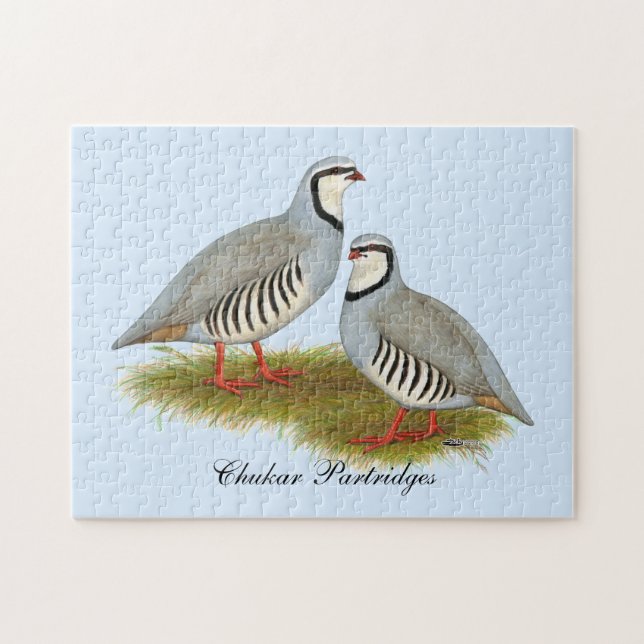 Chukar Partridge Pair Jigsaw Puzzle (Horizontal)