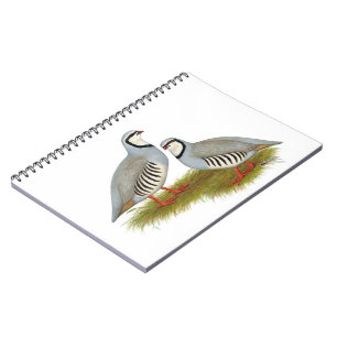 Chukar Partridge Pair Notebook