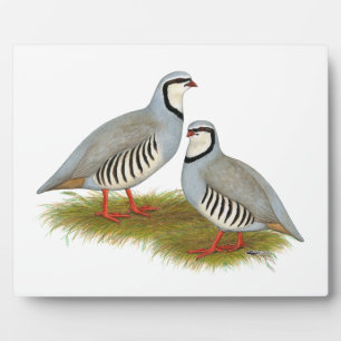 Chukar Partridge Pair Plaque