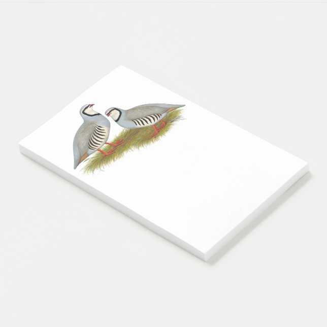 Chukar Partridge Pair Post-it Notes (Angled)