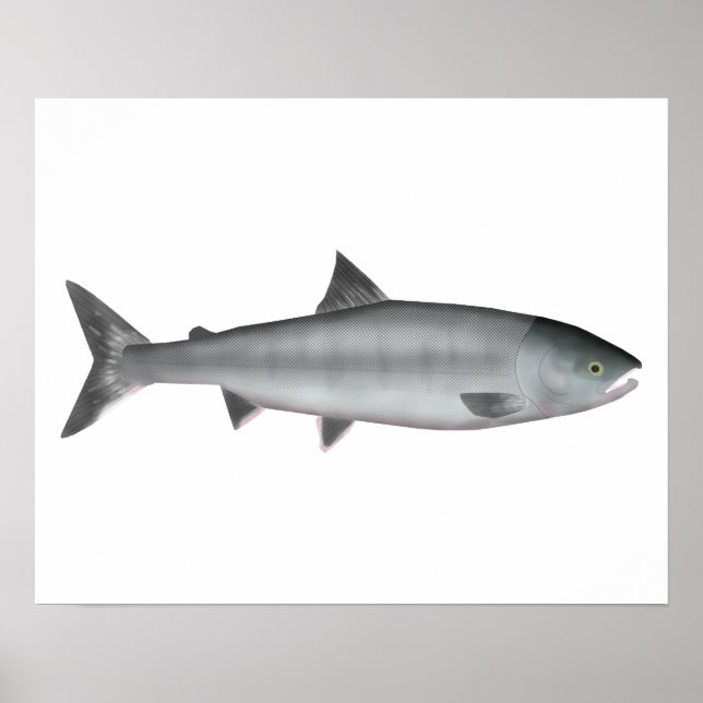 Chum Salmon Ocean Poster (Front)