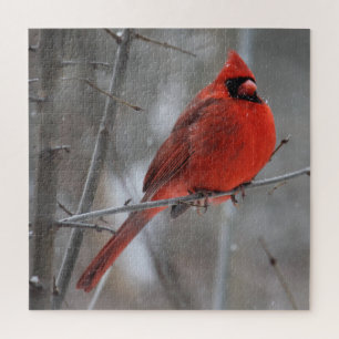 Chunky Bright Red Male Cardinal in Winter Snow Jigsaw Puzzle