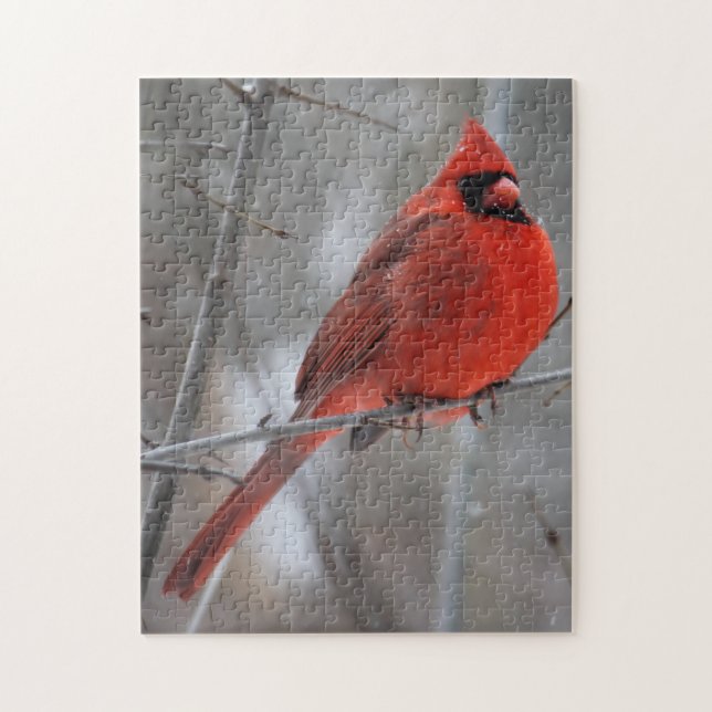 Chunky Bright Red Male Cardinal in Winter Snow Jigsaw Puzzle (Vertical)