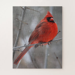 Chunky Bright Red Male Cardinal in Winter Snow Jigsaw Puzzle