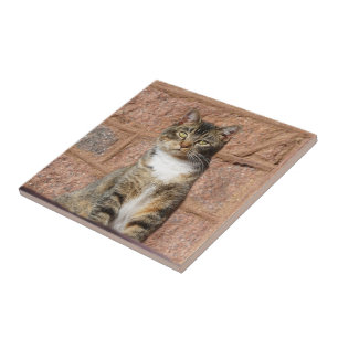 Church Cat Ceramic Tile