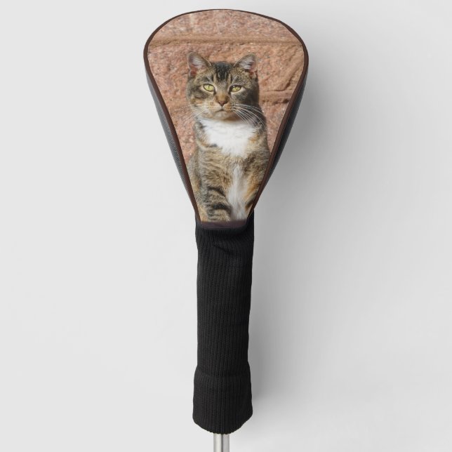 Church Cat Golf Head Cover (Front)