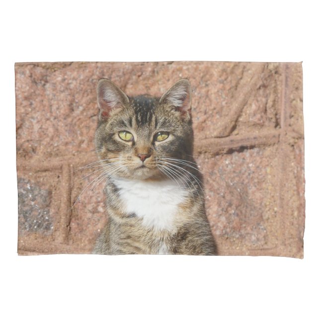 Church Cat  Pillowcase (Front)