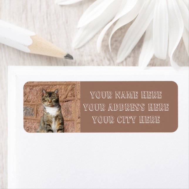 Church Cat Return Address Label (Insitu)