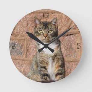 Church Cat Round Clock