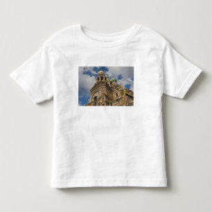 Church of the Savior of Spilled Blood Toddler T-Shirt