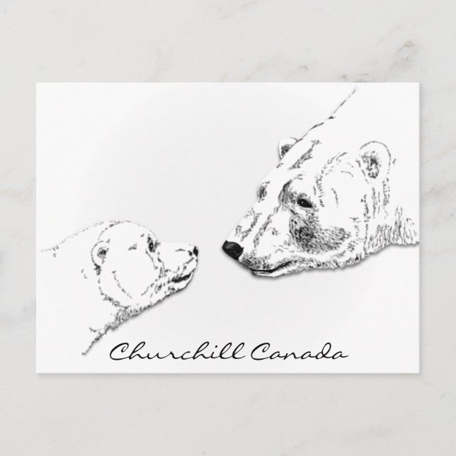 Churchill Canada Postcard Polar Bear Art Cards (Front)