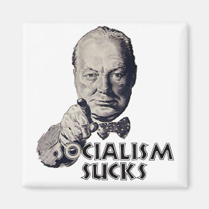 Churchill Quote: Socialism Sucks! Magnet