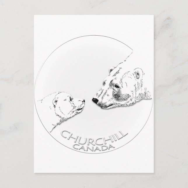 Churchill Souvenirs Polar Bear Art Shirts & Gifts Postcard (Front)