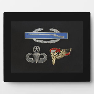 CIB Master Airborne Pathfinder Plaque