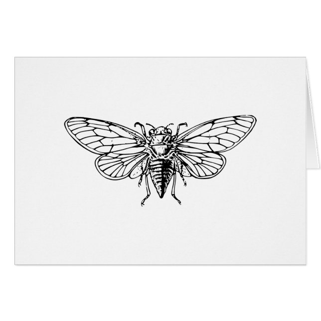 Cicada (Front Horizontal)