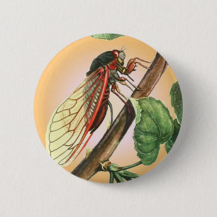 Cicada 6 Cm Round Badge
