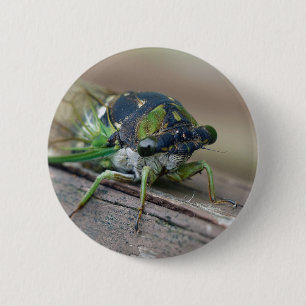 Cicada 6 Cm Round Badge